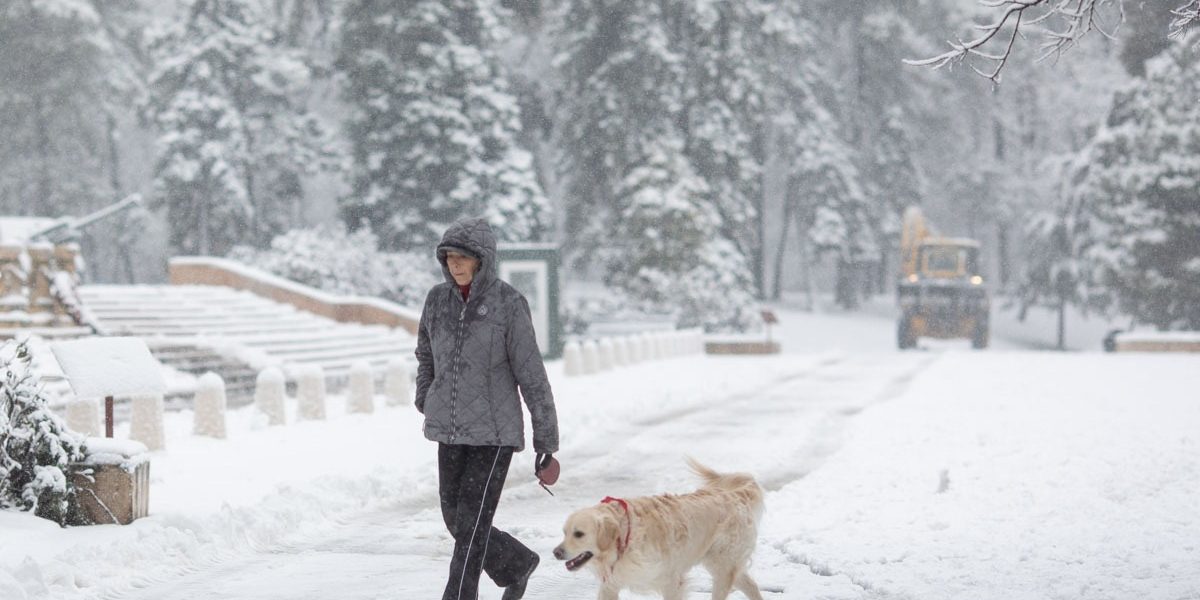 FB1A9678.jpg - PresaObiectiva