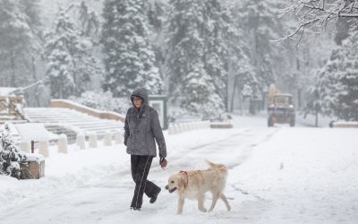 FB1A9678.jpg - PresaObiectiva