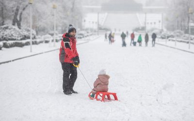 FB1A9896.jpg - PresaObiectiva