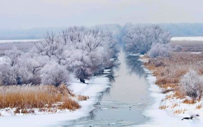 FB_IMG_1611662868008-01-min.jpeg - PresaObiectiva