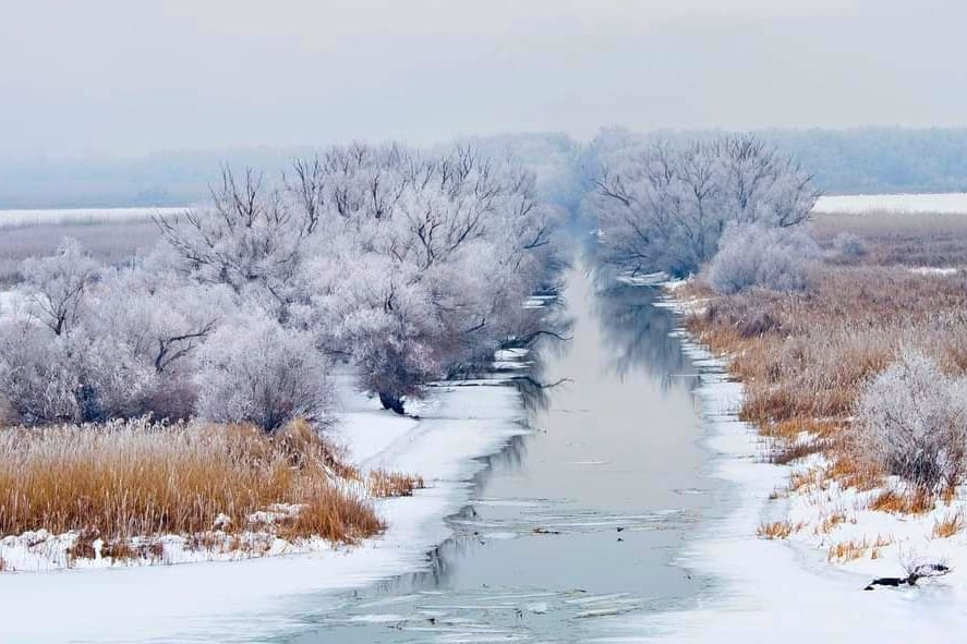 FB_IMG_1611662868008-01-min.jpeg - PresaObiectiva