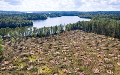 GettyImages-1336631428.jpg - PresaObiectiva