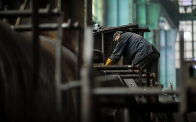 ID120826_INQUAM_Photos_George_Calin.jpg - PresaObiectiva