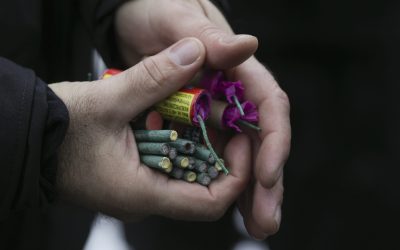 ID129394_INQUAM_Photos_Octav_Ganea.jpg - PresaObiectiva