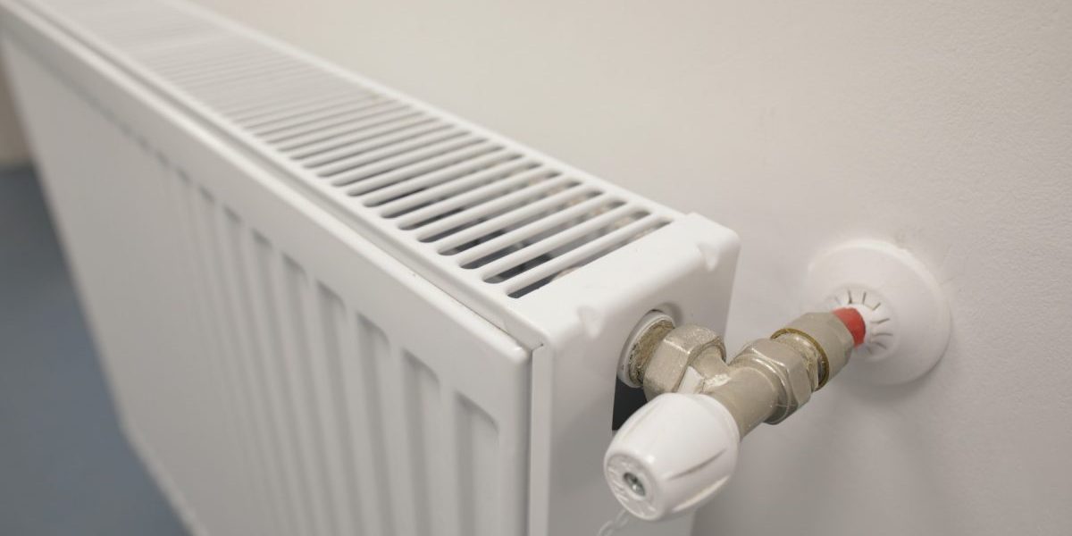 ID181759_INQUAM_Photos_Octav_Ganea-e1637920011420.jpg - PresaObiectiva