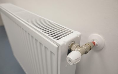 ID181759_INQUAM_Photos_Octav_Ganea-e1637920011420.jpg - PresaObiectiva