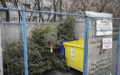 ID211408_INQUAM_Photos_Octav_Ganea-scaled.jpg - PresaObiectiva