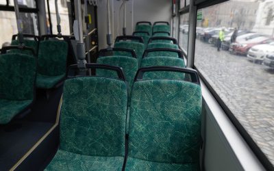 ID240959_INQUAM_Photos_George_Calin-scaled.jpg - PresaObiectiva