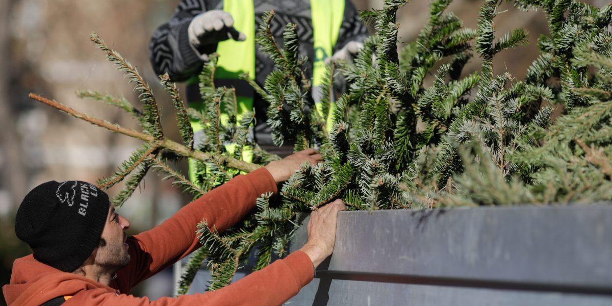 ID243158_INQUAM_Photos_George_Calin-scaled.jpg - PresaObiectiva