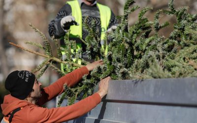 ID243158_INQUAM_Photos_George_Calin-scaled.jpg - PresaObiectiva