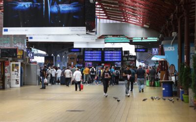 ID264270_INQUAM_Photos_George_Calin-1000x667.jpg - PresaObiectiva