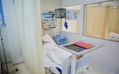 ID30977_INQUAM_Photos_George_Calin-scaled.jpg - PresaObiectiva