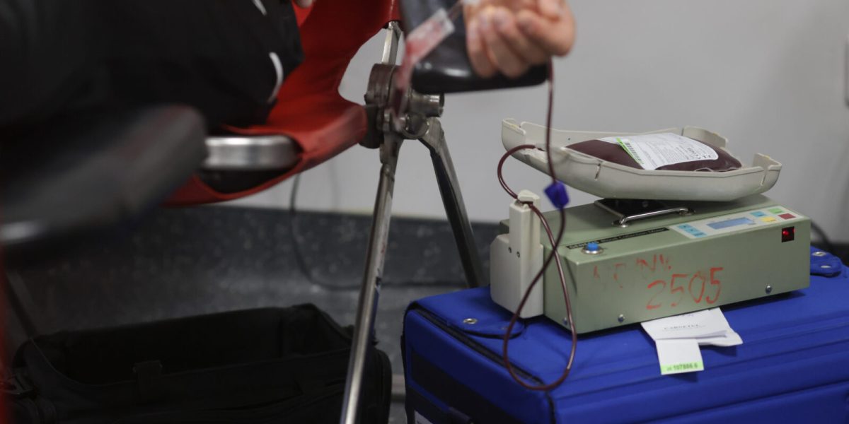 ID318910_INQUAM_Photos_George_Calin-1600x1067-1.jpg - PresaObiectiva