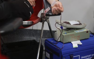 ID318910_INQUAM_Photos_George_Calin-1600x1067-1.jpg - PresaObiectiva