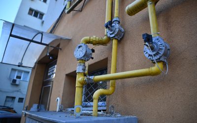 ID322394_INQUAM_Photos_Alex-Nicodim_-1600x1067-1-1.jpg - PresaObiectiva