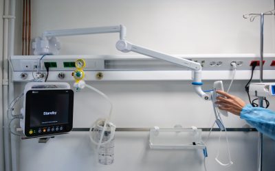 ID324935_INQUAM_Photos_Alexandru_Nechez-scaled.jpg - PresaObiectiva