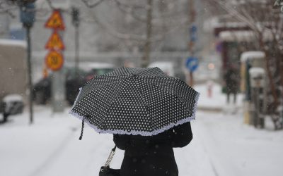 ID330607_INQUAM_Photos_George_Calin-1.jpg - PresaObiectiva