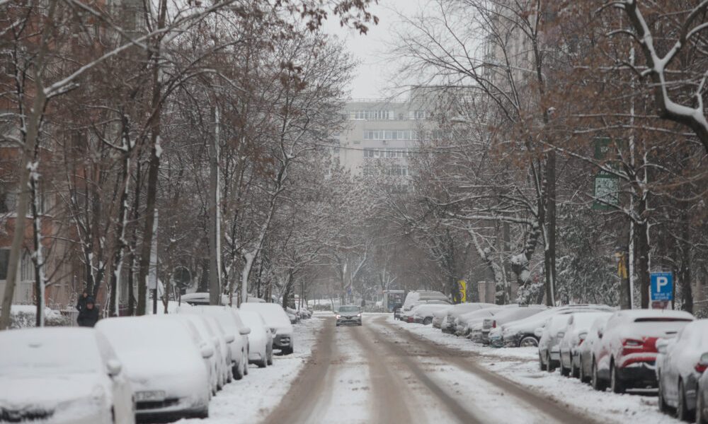 ID330609_INQUAM_Photos_George_Calin-1000x667.jpg - PresaObiectiva