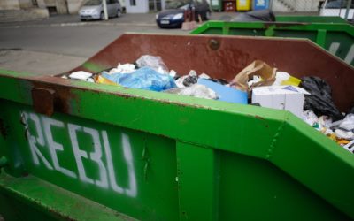 ID65550_INQUAM_Photos_George_Calin-scaled.jpg - PresaObiectiva