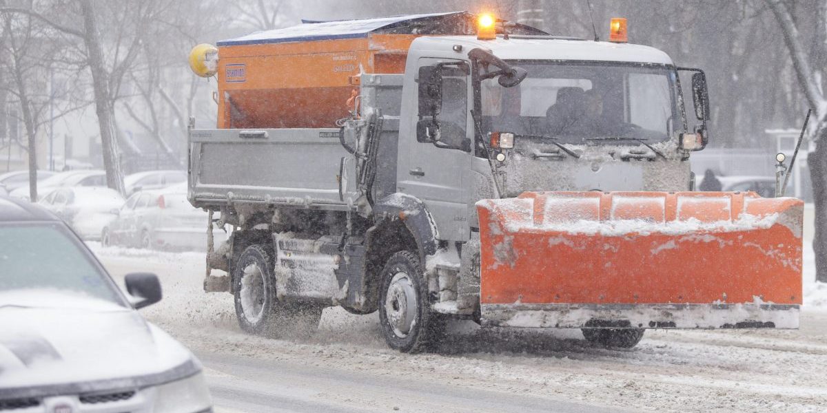 ID86171_INQUAM_Photos_George_Calin-scaled-e1610309816190.jpg - PresaObiectiva