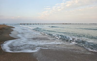 IMG-20251109-WA0019.jpg - PresaObiectiva