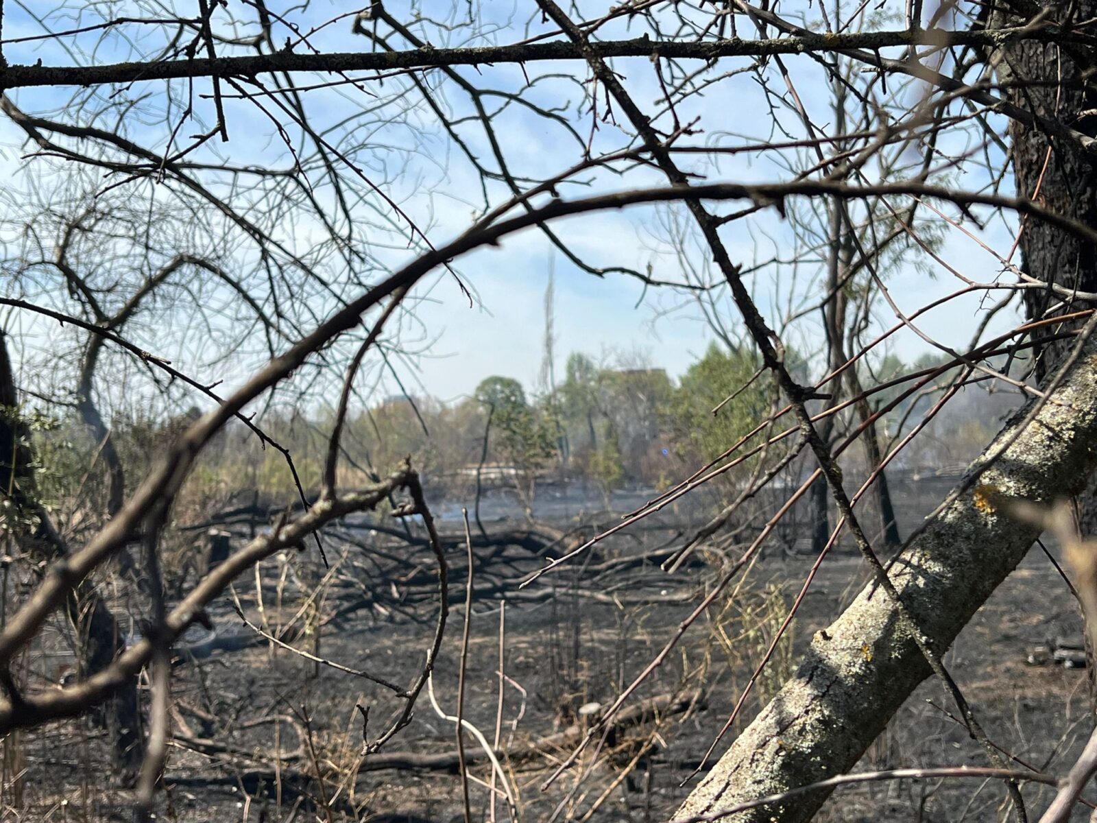 Procesul despre retrocedarea Parcului IOR, unul dintre cele mai vechi și frecvent disputate spații verzi din București, a fost reluat în instanță, însă cu un nou obstacol: implicarea moștenitorului fosta proprietară, Petre Băjenaru
