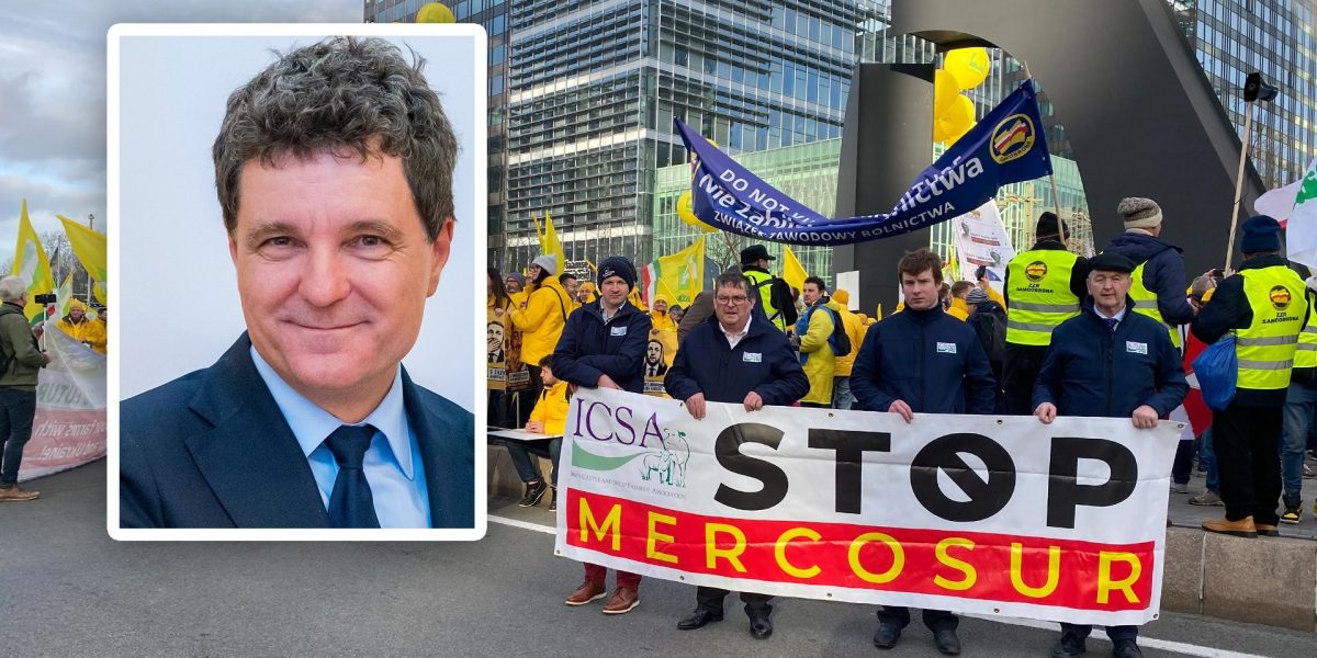 Nicusor-Dan-spune-ca-Romania-sustine-acordul-Mercosur.webp.jpeg - PresaObiectiva