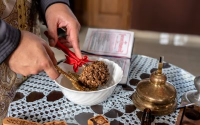 NmM3YzZhN2U4NWFjZmFmNjZhZGE2OTVkYzBmZTRlMjQ.thumb_.jpg - PresaObiectiva