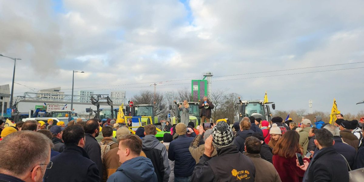 OTg5YTk4MmJmOTcxMGFkZDNmOTE3ODM2NTJjZg.thumb_.jpg - PresaObiectiva