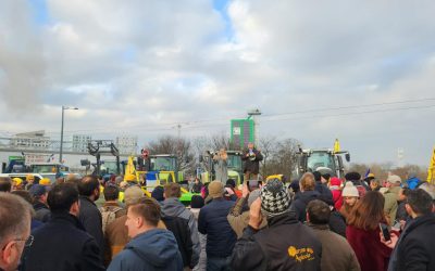 OTg5YTk4MmJmOTcxMGFkZDNmOTE3ODM2NTJjZg.thumb_.jpg - PresaObiectiva