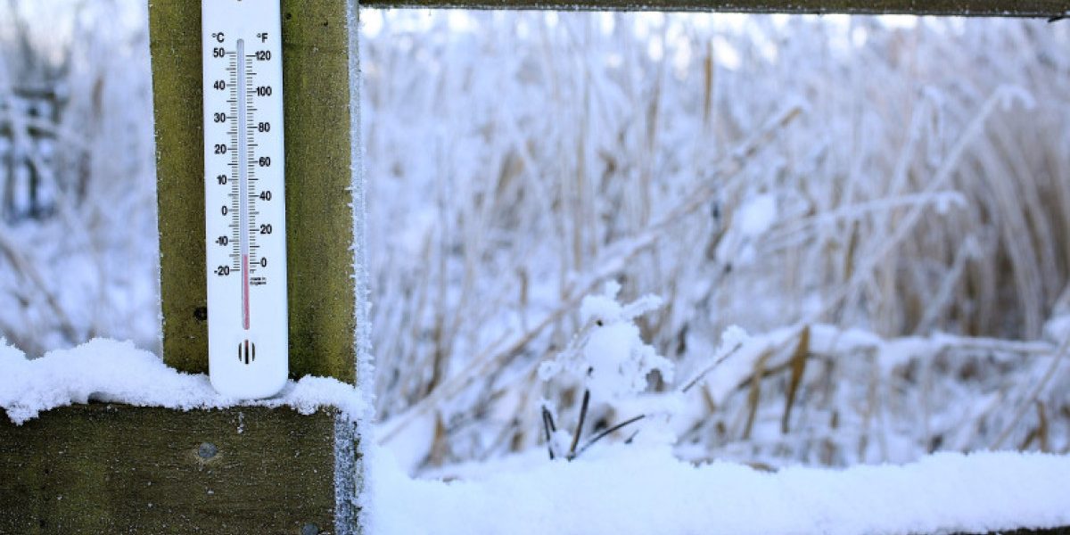 PTYzMCZ6Yz0xJmhhc2g9ZGJmNDVhNzE3MWJjNmQ0N2RiNTUwZTYwMWY5YzdlOTM.thumb_.jpg - PresaObiectiva