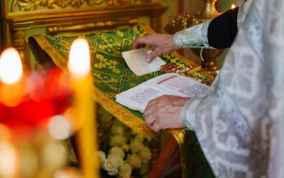 PTg3ODgyMGQ2NTg4MmEyNWIzMzI5YjYyZmMyNzg1OTAy.thumb_.jpg - PresaObiectiva