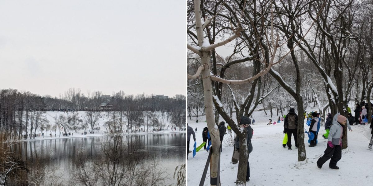 Parcul-Tineretului-partie.jpg - PresaObiectiva