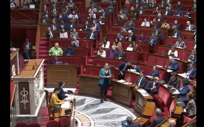 Parlament-Franta.jpg - PresaObiectiva