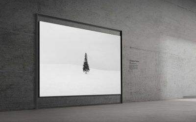 Samsung-TVs-and-Displays-Samsung-Micro-RGB-TV_2.jpg - PresaObiectiva