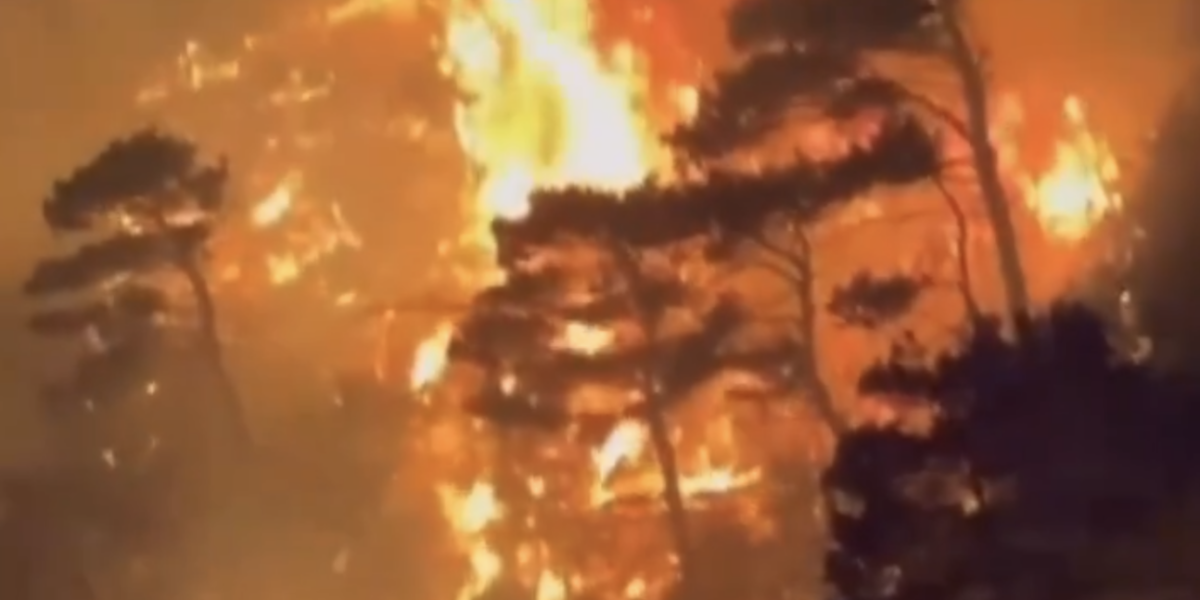 Screenshot-2024-07-10-at-22.52.14.png - PresaObiectiva