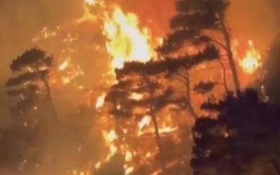 Screenshot-2024-07-10-at-22.52.14.png - PresaObiectiva