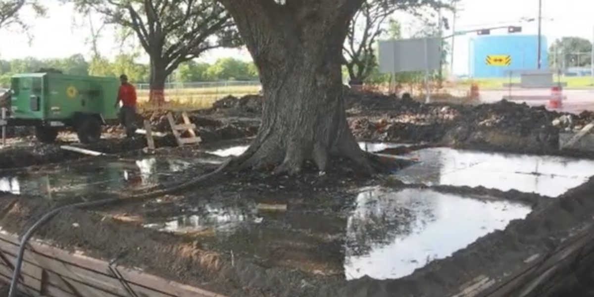 Taiat.jpg - PresaObiectiva