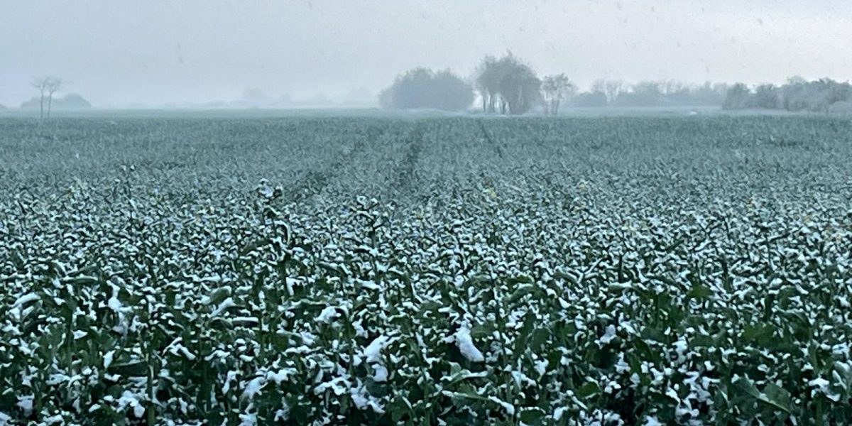 WhatsApp-Image-2025-04-07-at-19.45.18.jpeg - PresaObiectiva