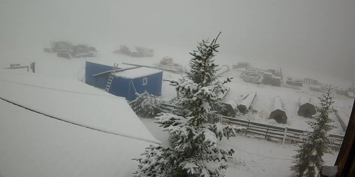 WhatsApp-Image-2025-09-29-at-10.14.41.jpeg - PresaObiectiva