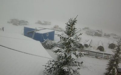 WhatsApp-Image-2025-09-29-at-10.14.41.jpeg - PresaObiectiva