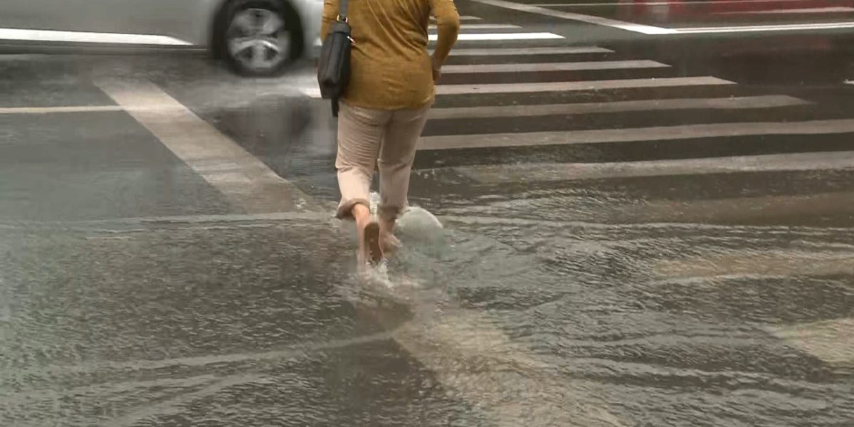 YThhMWE3NzA3NjIwYmYyM2NiYTdlYjljMWJkZQ.thumb_.jpg - PresaObiectiva