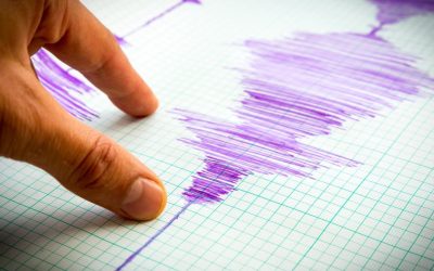 aGFzaD05MjlkNzczNjZmY2VmYmRiMTdlODUzZjg3OWYzNWIyMQ.thumb_.jpg - PresaObiectiva