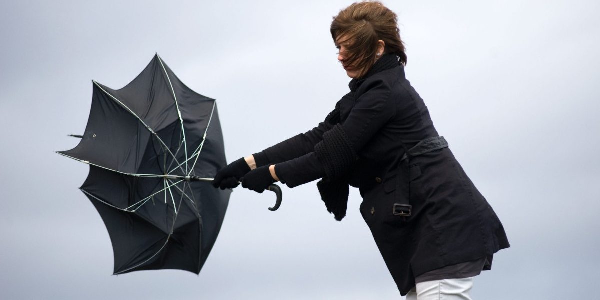 aGFzaD0zNDUyYjgxN2M5Nzk2MDIxODQ2YmEwNDc0ODYzN2MyMg.thumb_.jpg - PresaObiectiva