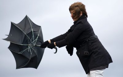 aGFzaD0zNDUyYjgxN2M5Nzk2MDIxODQ2YmEwNDc0ODYzN2MyMg.thumb_.jpg - PresaObiectiva