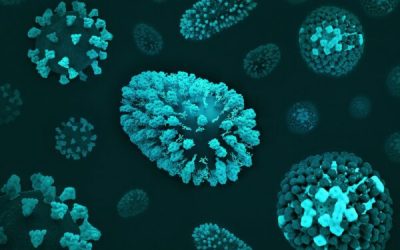 admin-ajax-5-1.jpeg - PresaObiectiva