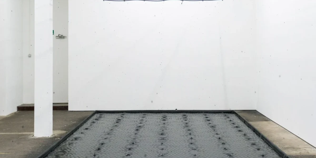 belu-simion-fainaru-contemporary-artist.webp.webp - PresaObiectiva