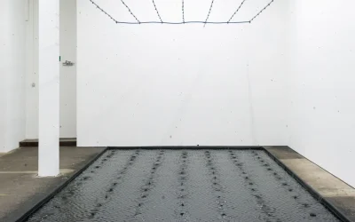 belu-simion-fainaru-contemporary-artist.webp.webp - PresaObiectiva