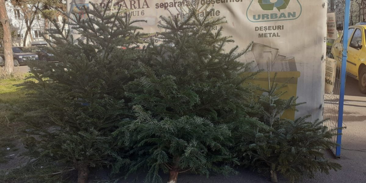 brazi.jpeg - PresaObiectiva