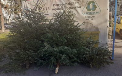 brazi.jpeg - PresaObiectiva